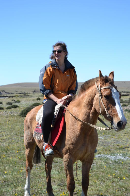 Camping Y Hostal El Ovejero El Calafate Kültér fotó